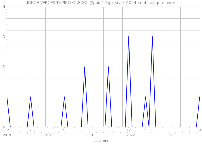 JORGE VERGES TAPIRO QUEROL (Spain) Page visits 2024 