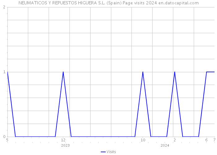 NEUMATICOS Y REPUESTOS HIGUERA S.L. (Spain) Page visits 2024 