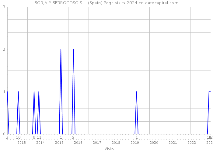 BORJA Y BERROCOSO S.L. (Spain) Page visits 2024 