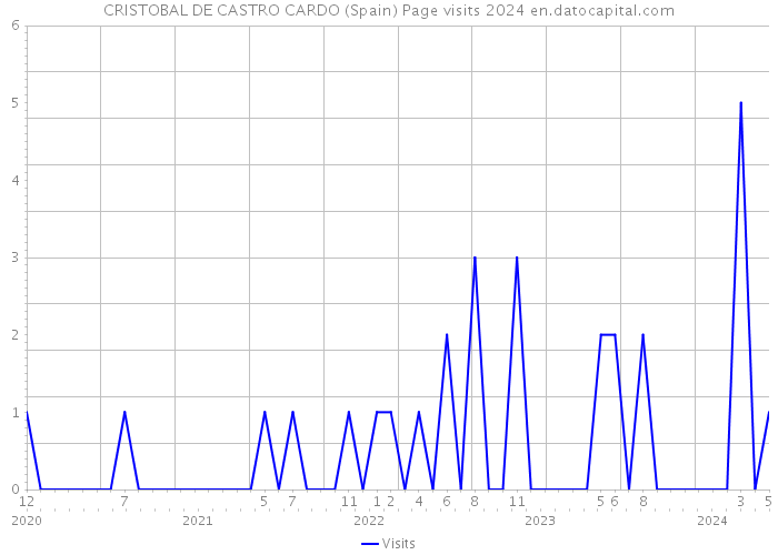CRISTOBAL DE CASTRO CARDO (Spain) Page visits 2024 