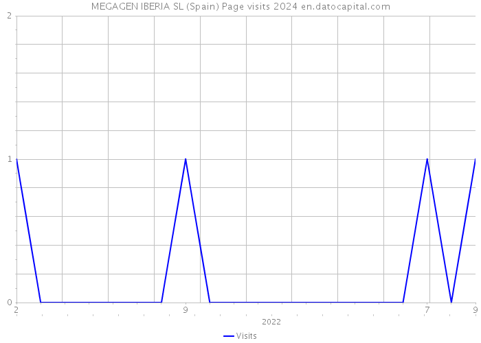 MEGAGEN IBERIA SL (Spain) Page visits 2024 