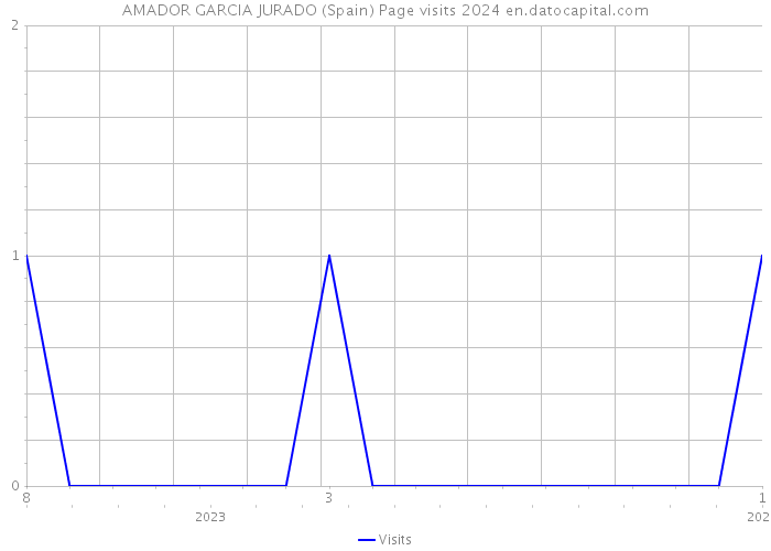 AMADOR GARCIA JURADO (Spain) Page visits 2024 