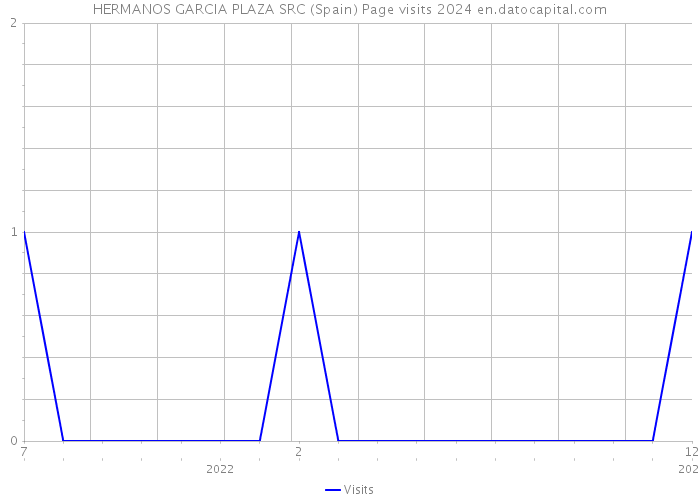 HERMANOS GARCIA PLAZA SRC (Spain) Page visits 2024 