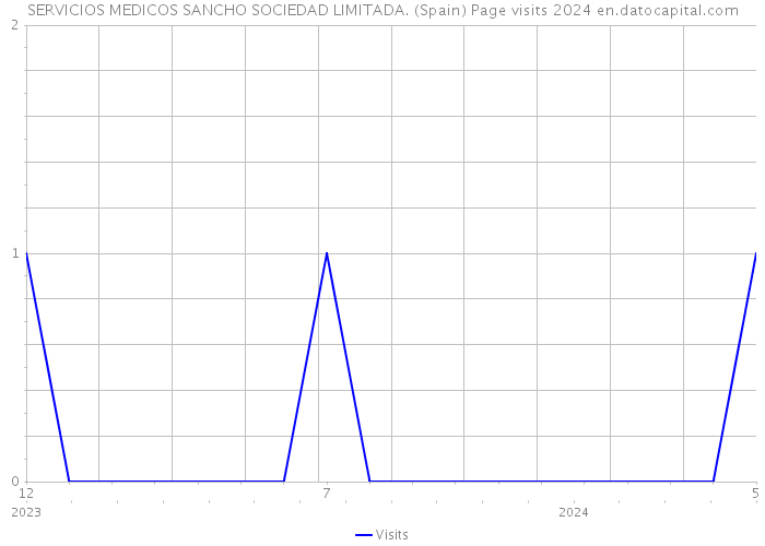 SERVICIOS MEDICOS SANCHO SOCIEDAD LIMITADA. (Spain) Page visits 2024 