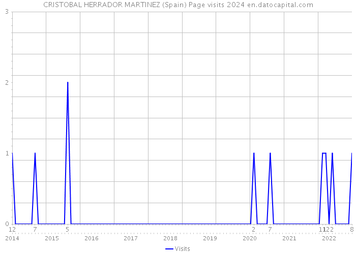 CRISTOBAL HERRADOR MARTINEZ (Spain) Page visits 2024 