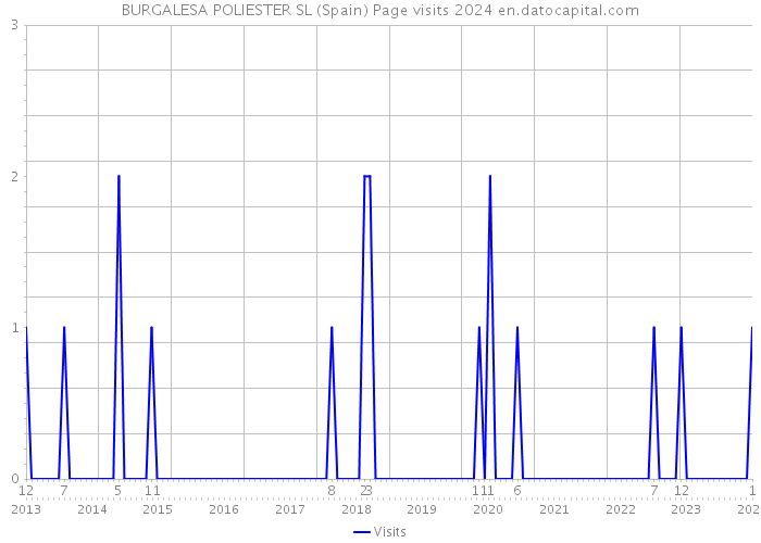 BURGALESA POLIESTER SL (Spain) Page visits 2024 