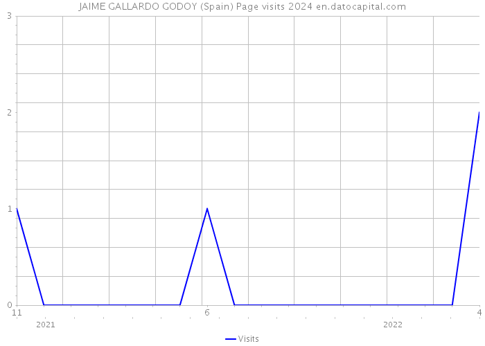 JAIME GALLARDO GODOY (Spain) Page visits 2024 
