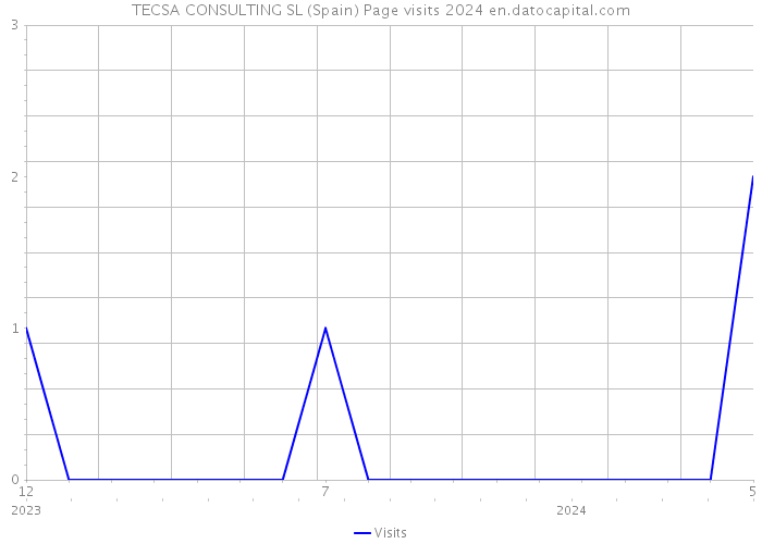 TECSA CONSULTING SL (Spain) Page visits 2024 