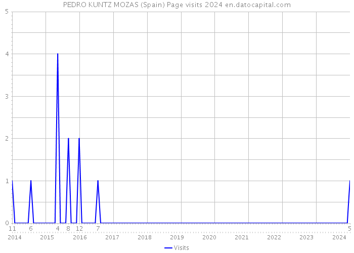 PEDRO KUNTZ MOZAS (Spain) Page visits 2024 