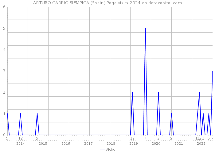 ARTURO CARRIO BIEMPICA (Spain) Page visits 2024 
