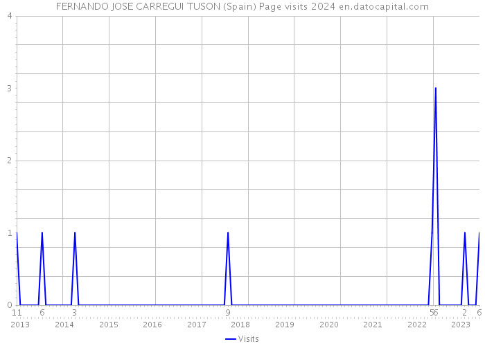 FERNANDO JOSE CARREGUI TUSON (Spain) Page visits 2024 