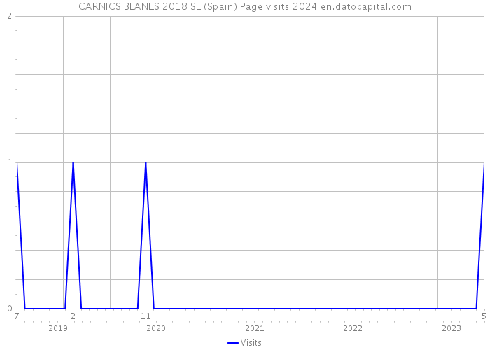 CARNICS BLANES 2018 SL (Spain) Page visits 2024 