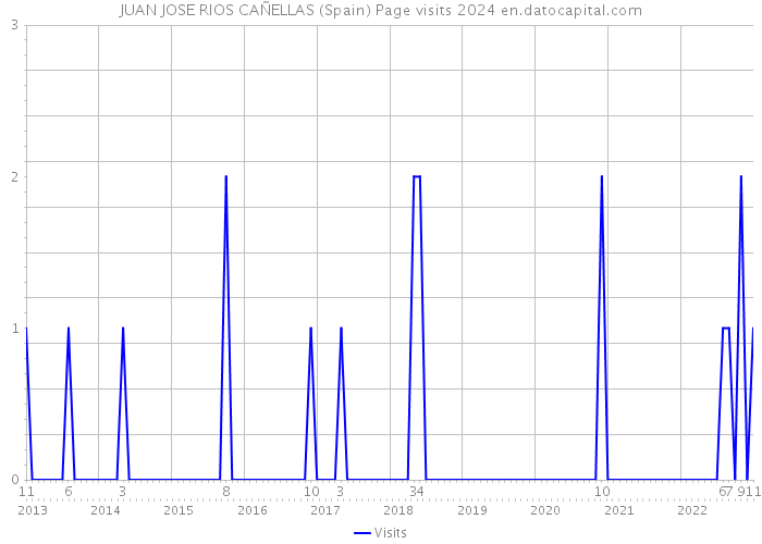 JUAN JOSE RIOS CAÑELLAS (Spain) Page visits 2024 
