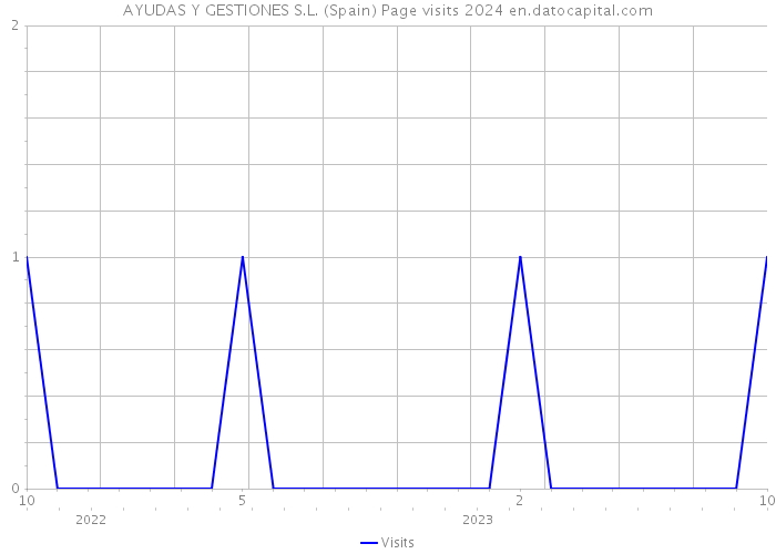 AYUDAS Y GESTIONES S.L. (Spain) Page visits 2024 