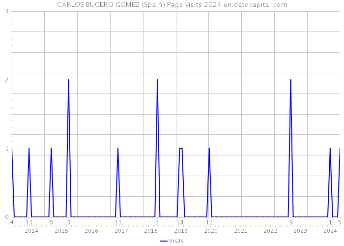 CARLOS BUCERO GOMEZ (Spain) Page visits 2024 