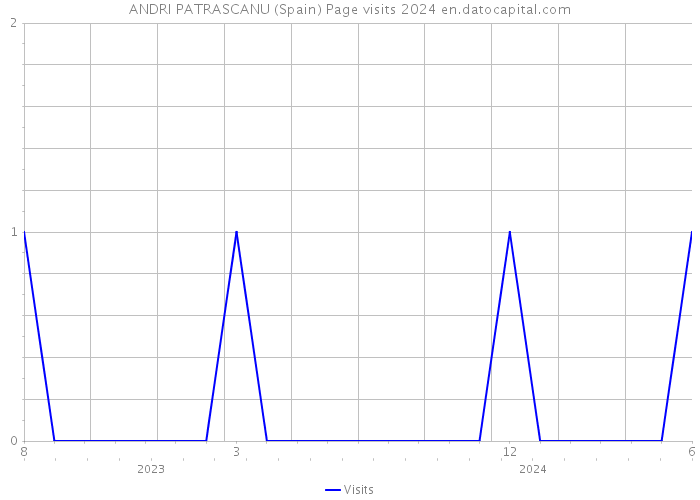 ANDRI PATRASCANU (Spain) Page visits 2024 