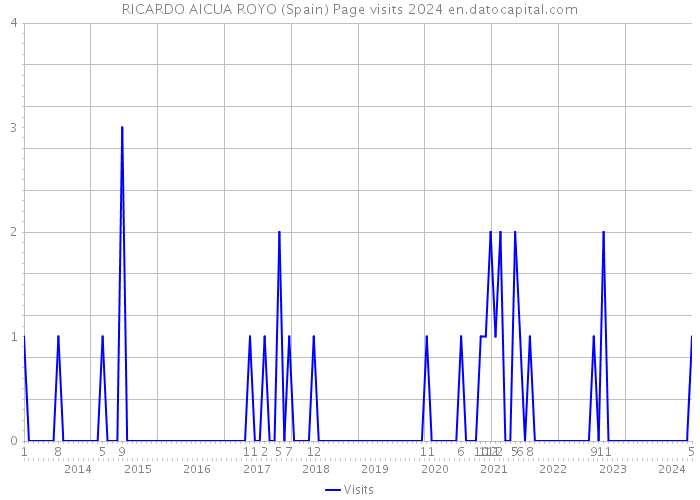 RICARDO AICUA ROYO (Spain) Page visits 2024 