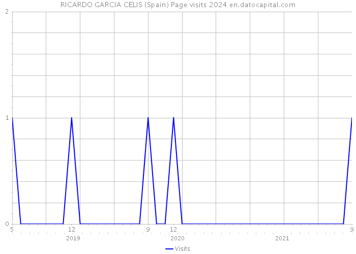 RICARDO GARCIA CELIS (Spain) Page visits 2024 