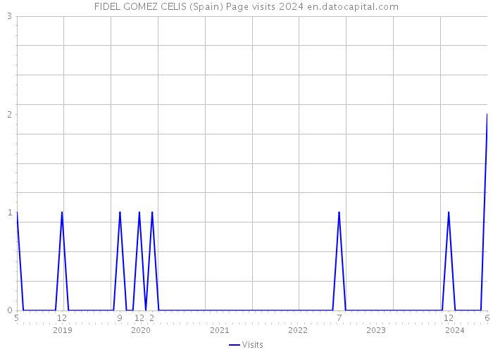 FIDEL GOMEZ CELIS (Spain) Page visits 2024 