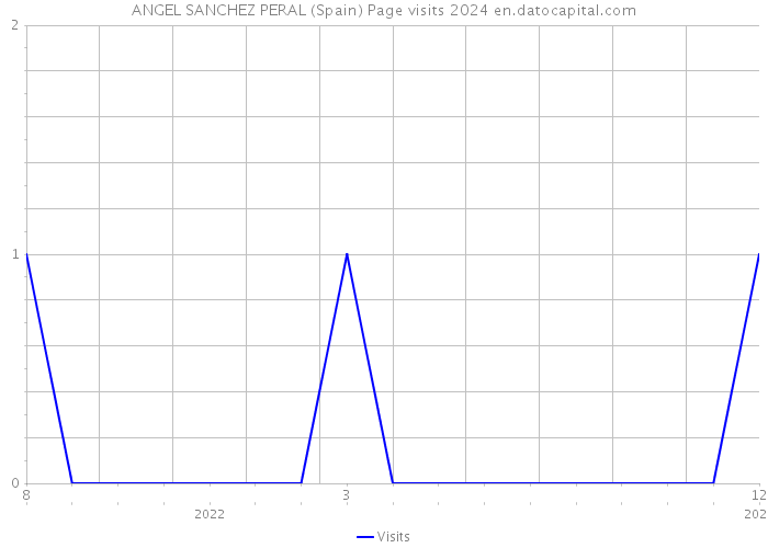 ANGEL SANCHEZ PERAL (Spain) Page visits 2024 