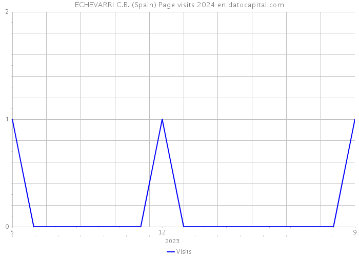 ECHEVARRI C.B. (Spain) Page visits 2024 