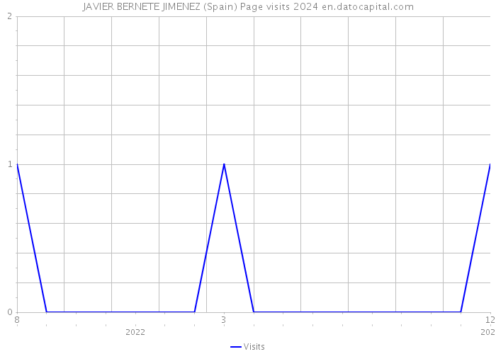 JAVIER BERNETE JIMENEZ (Spain) Page visits 2024 