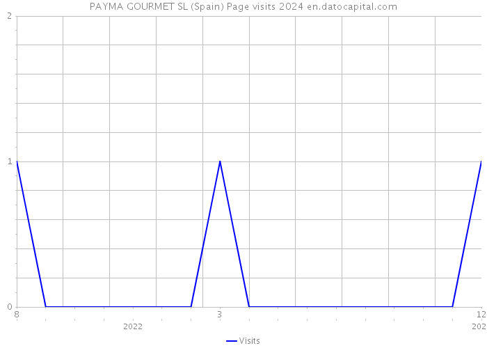 PAYMA GOURMET SL (Spain) Page visits 2024 