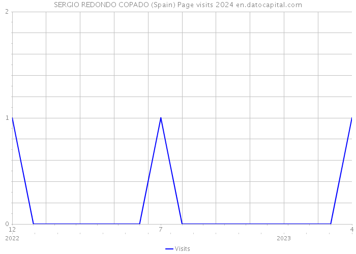 SERGIO REDONDO COPADO (Spain) Page visits 2024 