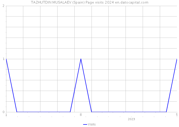 TAZHUTDIN MUSALAEV (Spain) Page visits 2024 