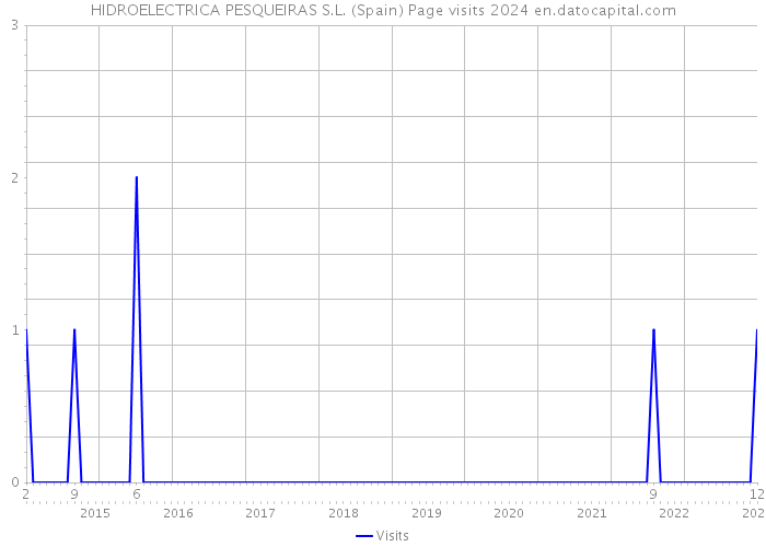 HIDROELECTRICA PESQUEIRAS S.L. (Spain) Page visits 2024 