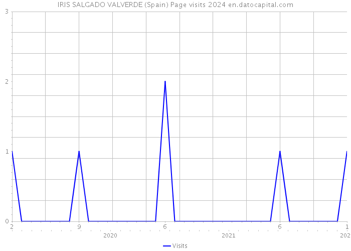 IRIS SALGADO VALVERDE (Spain) Page visits 2024 