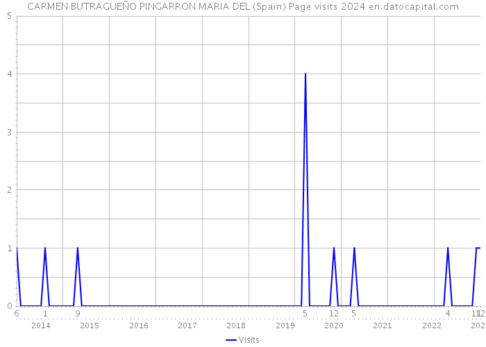 CARMEN BUTRAGUEÑO PINGARRON MARIA DEL (Spain) Page visits 2024 