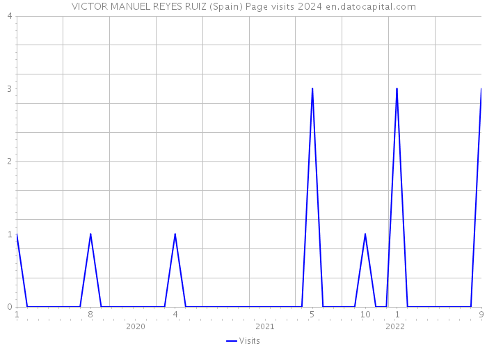 VICTOR MANUEL REYES RUIZ (Spain) Page visits 2024 