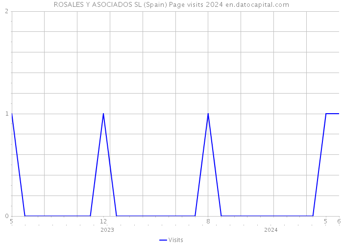 ROSALES Y ASOCIADOS SL (Spain) Page visits 2024 
