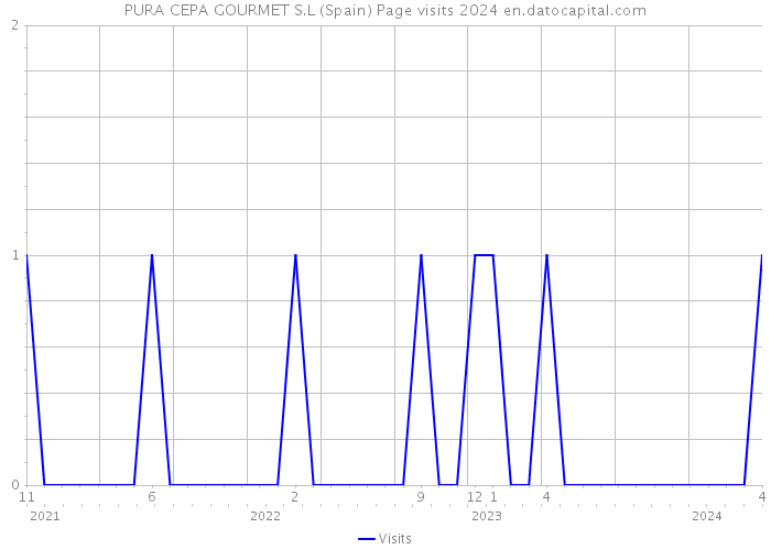 PURA CEPA GOURMET S.L (Spain) Page visits 2024 