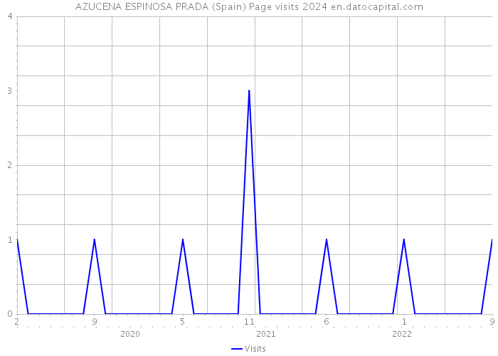 AZUCENA ESPINOSA PRADA (Spain) Page visits 2024 