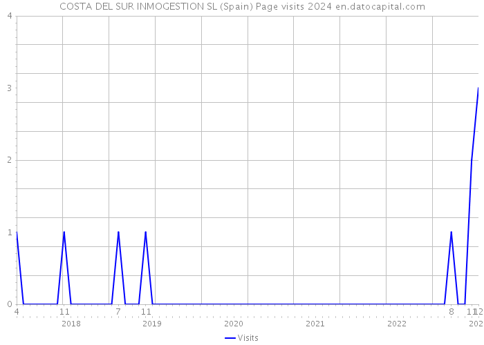COSTA DEL SUR INMOGESTION SL (Spain) Page visits 2024 