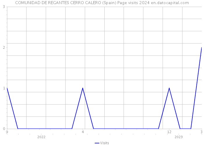 COMUNIDAD DE REGANTES CERRO CALERO (Spain) Page visits 2024 