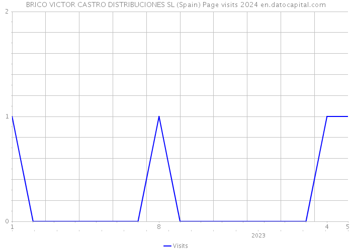 BRICO VICTOR CASTRO DISTRIBUCIONES SL (Spain) Page visits 2024 