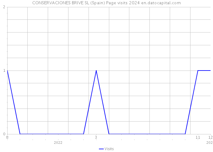 CONSERVACIONES BRIVE SL (Spain) Page visits 2024 