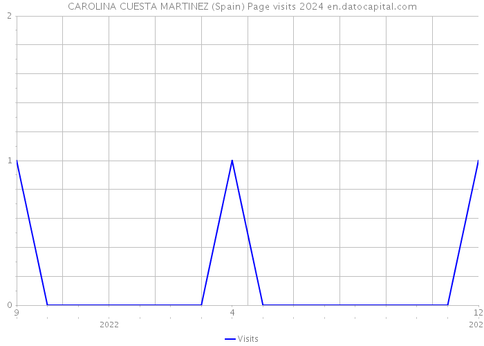 CAROLINA CUESTA MARTINEZ (Spain) Page visits 2024 