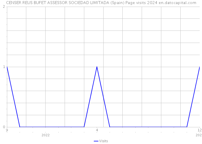 CENSER REUS BUFET ASSESSOR SOCIEDAD LIMITADA (Spain) Page visits 2024 