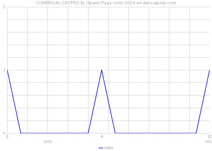 COMERCIAL CASTRO SL (Spain) Page visits 2024 