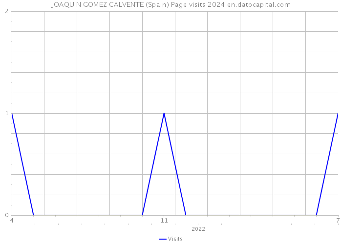JOAQUIN GOMEZ CALVENTE (Spain) Page visits 2024 