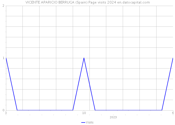 VICENTE APARICIO BERRUGA (Spain) Page visits 2024 