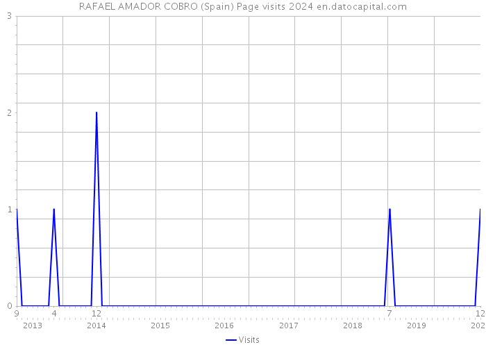 RAFAEL AMADOR COBRO (Spain) Page visits 2024 