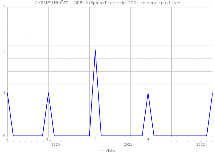 CARMEN NUÑEZ LLORENS (Spain) Page visits 2024 