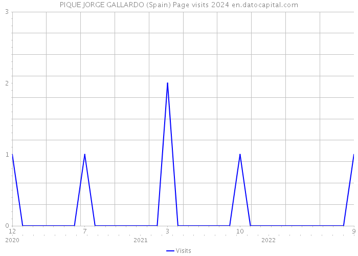 PIQUE JORGE GALLARDO (Spain) Page visits 2024 