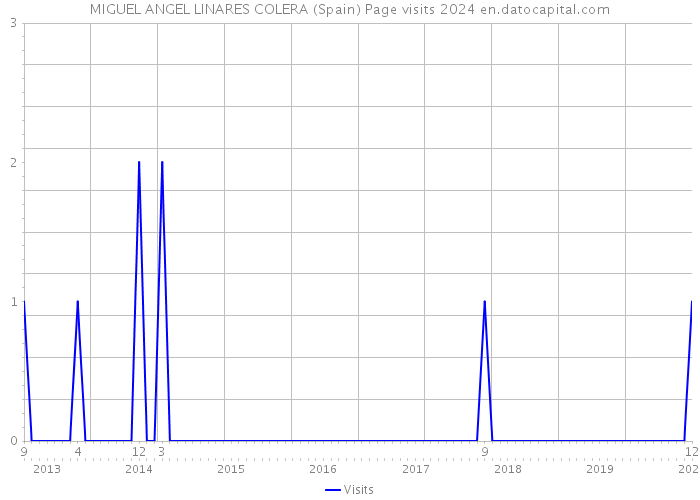 MIGUEL ANGEL LINARES COLERA (Spain) Page visits 2024 