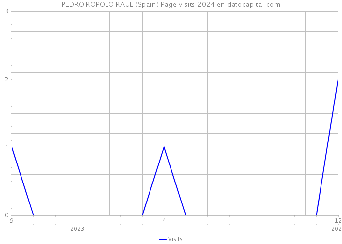 PEDRO ROPOLO RAUL (Spain) Page visits 2024 